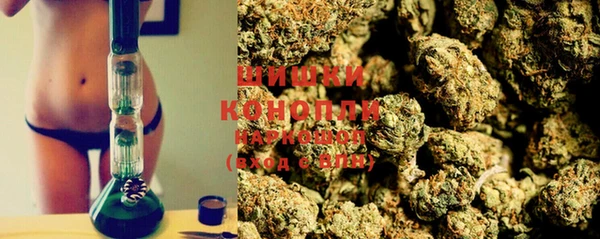 ПСИЛОЦИБИНОВЫЕ ГРИБЫ Аркадак