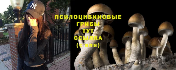 2c-b Алзамай