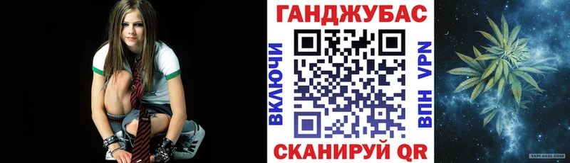 Канабис гибрид  Асино 